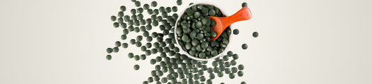 Zielona tarcza organizmu - jak działa chlorella?